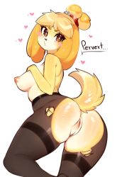 absurd_res accessory animal_crossing anthro areola ass black_eyes blush breasts canid canine canis clothing dialogue domestic_dog eyebrow_through_hair eyebrows eyelashes female fredek666 genitals hair hair_accessory heart_symbol hi_res isabelle_(animal_crossing) legwear looking_at_viewer looking_back looking_back_at_viewer mammal nintendo nipples pantyhose pink_areola pink_nipples pussy shih_tzu simple_background solo tail text torn_clothing torn_legwear torn_pantyhose toy_dog translucent translucent_hair white_background