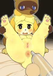 animal_crossing anthro anus ass blue_eyes blush bodily_fluids breasts brown_body brown_fur canid canine canis clothed clothing domestic_dog enema enema_syringe female fur genitals group hi_res isabelle_(animal_crossing) mammal nintendo nude open_mouth open_smile pawpads paws pussy raccoon_dog rinrin_(pixiv) shih_tzu shirt smile sweat tanuki tom_nook topwear toy_dog trio yellow_body yellow_fur