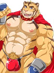 abs anthro biceps blue_eyes build_tiger build_tiger_(character) cape clothing felid fur furry furry_only hi_res male male_only mammal multicolored_body multicolored_fur muscular muscular_male nipples orange_body orange_fur pantherine pecs pubes simple_background solo striped_body striped_fur stripes tan_body tan_fur tiger two_tone_body two_tone_fur wasabimayo white_background