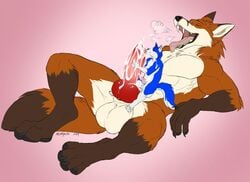 2019 animal_genitalia animal_penis anthro anthro_on_anthro balls big_balls big_penis blue_body blue_fur bodily_fluids brown_body brown_fur canid canine canine_penis canis claws closed_eyes cum cum_on_face cum_on_muzzle cum_on_penis cumshot dash007 digital_media_(artwork) domestic_dog duo ejaculation erection fingers fox fur genital_fluids genitals huge_balls huge_cock husky hybrid incorgnito knot licking lying macro male male/male mammal masturbation micro muscular ninterkins nordic_sled_dog nude on_back open_mouth orgasm penile penile_masturbation penis sex sheath signature simple_background size_difference smile spitz toes tongue tongue_out vein veiny_penis were werecanid werecanine werefox white_body white_fur wolf wolfdog