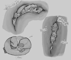 2020 3_fingers 3_toes anthro balls belly beret big_penis biped blush bodily_fluids bubble buckteeth claws closed_eyes clothing cobra cramped cum cum_inside cumshot cutaway daftpatriot digestion duo ejaculation erection fangs fingers forced front_view fur genital_fluids genitals grey_background greyscale half-closed_eyes hand_on_stomach hat headgear headwear hi_res humanoid_penis internal long_tail looking_pleasured lying male male_pred male_prey mammal monochrome mostly_nude motion_lines multiple_images multiple_scenes murid murine narrowed_eyes nude on_side open_mouth oral_vore orgasm paws penis predator/prey rat reptile rodent rumbling_stomach scales scalie side_view simple_background sketch sleeping snake snake_hood sound_effects squeezing stahl_(stalvelle) stalvelle stomach stomach_acid stomach_bulge teeth text toes tuft vore zzz