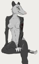 anthro breasts brown_eyes didelphid digital_media_(artwork) female fur grey_body grey_fur hi_res mammal marsupial nipples nude simple_background sitting solo tattoo yamagah