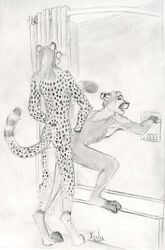 2011 anal anal_sex anthro anthro_on_anthro anthro_penetrated anthro_penetrating anthro_penetrating_anthro ass barefoot bathroom biped cheetah cougar digitigrade duo ears_back eyebrows felid feline from_behind_position fur graphite_(artwork) hair inside kibacheetah long_hair male male/male male_penetrated male_penetrating male_penetrating_male mammal nude open_mouth pencil_(artwork) penetration pivoted_ears sex short_hair signature spots spotted_body spotted_fur spotted_tail toes traditional_media_(artwork) whiskers yonoa yonoa_(artist)