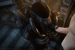 female xenomorph from alien (franchise) by kosatka