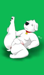 2019 anus ass balls big_butt brian_griffin cake_top canid canine canis closed_eyes collar digital_media_(artwork) domestic_dog family_guy fur genitals hi_res humanoid_penis male male_only mammal nude penis shortstack simple_background slightly_chubby solo stretching thick_thighs white_body white_fur