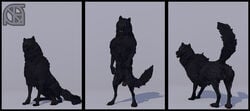 3d absurd_res animal_genitalia anus ass backsack balls black_body black_fur black_nose canid canine canis claws cosmiclife fur genitals hi_res looking_at_viewer looking_back male male_only mammal multiple_poses paws pinup pose presenting presenting_anus presenting_balls presenting_hindquarters raised_tail romeo_(cosmiclife) semi-anthro sheath sitting smile solo standing teeth wolf