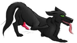 16:9 2020 balls black_body black_fur bredtolove_(artist) canid canine canis digital_media_(artwork) domestic_dog fur genitals green_eyes hi_res knot looking_at_viewer looking_back male mammal penis presenting shaded smile solo solo_focus tongue tongue_out toony wolf