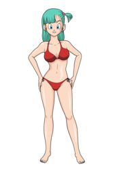 bulma_briefs dragon_ball dragon_ball_super dragon_ball_z pgsrule34 teenager