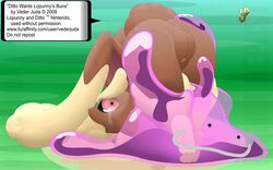 1girls 2008 brown_fur color ditto female fur furry interspecies lopunny nintendo pokemon pokemon_(species) sexless veder_juda what