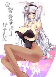 1girls animal_ear areola blush breasts bunny_ear bunny_girl bunny_tail bunnygirl bunnysuit busty cleavage katekyo_hitman_reborn katekyo_hitman_reborn! kyan nipples pantyhose rule_63 superbi_squalo