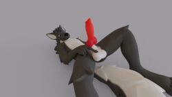 3d animal_genitalia animal_penis anthro balls canid canine canine_penis canis erection genitals hi_res knot male male_only mammal penis presenting solo ultrayanto ultrayanto_(character) wolf