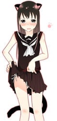 black_eyes blush brown_hair crossdressing koga_norio long_hair narutaru panties school_uniform serafuku side-tie_panties skirt skirt_lift sweat tail trap udk underwear