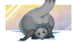 anus ass balls blush domestic_ferret feral fur genitals grey_body grey_fur male mammal mustela mustelid musteline presenting presenting_hindquarters resachii solo