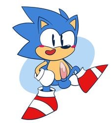 balls blush blushing bodily_fluids cum cum_on_penis eulipotyphlan genital_fluids genitals hedgehog male male_only mammal penis solo sonic_(series) sonic_the_hedgehog sonic_the_hedgehog_(series) sunofureiku tapering_penis