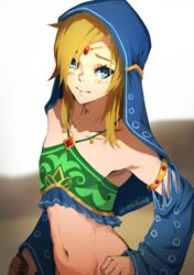 1boy breath_of_the_wild canon_crossdressing crossdressing femboy gerudo_link gerudo_top gerudo_veil hylian link link_(breath_of_the_wild) male male_focus male_only nintendo the_legend_of_zelda trap