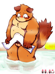 2014 anthro balls bathing belly big_dick_day blush brown_body brown_fur canid canine erection fur genitals hi_res japanese_text kemono male male_only mammal moobs nipples overweight overweight_male penis raccoon_dog solo tanuki text towel water wet yaoyasohachi