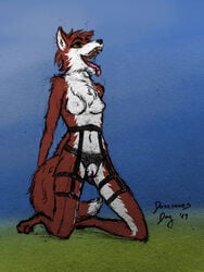 1girls 2019 anthro areolae biped black_nose breasts brown_eyes canid canine chest_tuft clothing colored crotchless crotchless_panties digitigrade dominoesdog ear_piercing ear_ring erect_nipples female female_only fox fur garter_belt garter_straps genitals hair hands_behind_back hi_res kneeling lingerie mammal mixed_media multicolored_body multicolored_fur nipples open_mouth panties paws piercing pink_nipples pink_pussy pussy red_body red_fox red_fur short_hair simple_background small_breasts solo spread_legs spreading teeth tongue topless tuft two_tone_body two_tone_fur underwear white_body white_fur