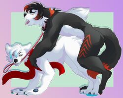 all_fours canid canine canis collar doggy_style dominant_bottom echo-wolf female from_behind_position gay gay_sex leash_pulling male mammal power_bottom serialdad sex straight wolf yokothewolf