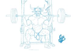 anthro balls bovine bull goldeyboi male male_only muscles sketch solo workout