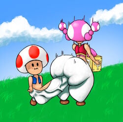 toad (mario) from mario (series) by xytora
