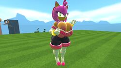 3d 3d_(artwork) alternate_breast_size amy_rose amy_the_bat anus ass ass_focus bare_ass big_breasts big_butt breasts cosplay exposed_breasts female huge_breasts huge_butt mammal naked nude rouge_the_bat_(cosplay) sonic_(series) source_filmmaker standing thick_thighs video_games viperarcane wardrobe_malfunction wide_hips