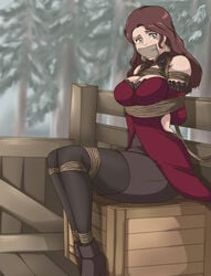 arms_behind_back bare_shoulders bondage bound bound_ankles bound_arms bound_legs box breasts brown_hair cleavage dorothea_arnault dress earrings female femsub fire_emblem fire_emblem:_three_houses forest gag gagged green_eyes helpless improvised_gag jewelry large_breasts long_hair looking_at_viewer nintendo post-timeskip red_dress restrained rope rope_bondage ryner-e sitting sleeveless sleeveless_dress solo tape tape_gag taped_mouth tied tied_up tree