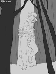 2019 anthro balls bound genitals hi_res hyaenid male male_only mammal monochrome nude rinzy rope sheatch signature solo tree