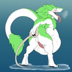 1:1 anal anthro ass balls belly big_belly bodily_fluids cum genital_fluids genitals hi_res hyper_sperm inflation male male_only male_penetrating nul penis sergal solo stomach_bulge tight_fit tongue undeadkitty13