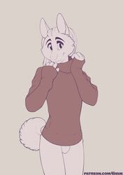 absurd_res anthro balls bottomless canid canine clothed clothing fur genitals hi_res looking_at_viewer male male_only mammal shiuk simple_background solo sweater topwear