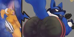 2019 2boys anal anthro anus ass austrum big_ass clothed clothing digital_media_(artwork) duo exercise fur furry furry_only gay grin hair hi_res huge_ass hybrid interspecies lucario male male_only mammal micro musk nintendo no_humans nude open_mouth oral original_character pokemon pokemon_(species) pokemon_dppt rimjob simple_background size_difference smile sniffing sweat teeth testicles thick_thighs tongue tongue_out video_games weightlifting wide_hips workout yaoi