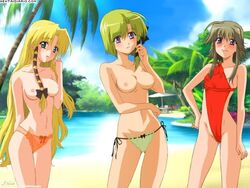 3girls beach bikini bikini_bottom colored female_only kareha looking_at_viewer mayumi_thyme multiple_girls one-piece_swimsuit outside palm_tree public_topless shigure_asa shuffle! swimsuit topless topless_female uncensored_breasts