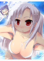 animal_ears bikini breasts cat_ears chika_midarezaki cleavage kyouka_midarezaki kyouran_kazoku_nikki large_breasts midarezaki_chika midarezaki_kyouka one-piece_swimsuit red_eyes school_swimsuit swimsuit white_hair