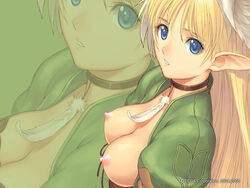 1girls blonde_hair blue_eyes breasts clothing collar elf elwing erect_nipples feathers female female_only medium_breasts nipples photoshop pointy_ears shining_(series) shining_tear solo taka_tony