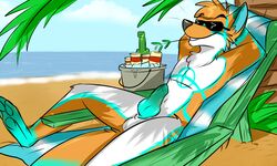 1boy alcohol anthro beach beer beverage biotoxicfox canine erection eyewear fox fur furry male male_only mammal markings penis relaxing seaside sirod solo sunglasses