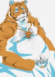 2018 anthro belly burrnie felid genitals hi_res humanoid_hands male male_only mammal moobs navel nipples overweight overweight_male pantherine penis pubes simple_background sitting solo tiger