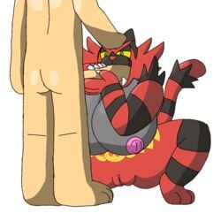 1:1 1boy 1girls alpha_channel anthro anthro_penetrated ass big_breasts big_penis breasts clitoris crouching feet feline fellatio female female_incineroar furry half-closed_eyes hand_on_head huge_breasts huge_penis human human_on_anthro human_penetrating human_penetrating_anthro incineroar interspecies larger_female male male_human/female_anthro male_human/female_pokemon mammal monterrioashmore nintendo nipples oral original_character paws penetration penis pokémon_(species) pokemon pokemon_sm pussy red_fur size_difference smaller_male source_request squatting tail teeth thick_thighs video_games wide_hips yellow_sclera