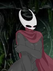 bug hollow_knight hornet_(hollow_knight)