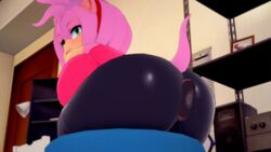 amy rose from sonic (series) by ioncannon1077