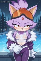 blaze the cat from sonic (series)