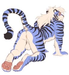 2016 4_toes all_fours anthro anus ass backsack balls biped felid feline flat_colors fur genitals hair long_hair looking_back machairodontine male male_only mammal multicolored_body multicolored_fur nude orexo pawpads perineum presenting raised_tail rear_view red_eyes rossciaco simple_background sketch solo striped_body striped_fur stripes toes white_background