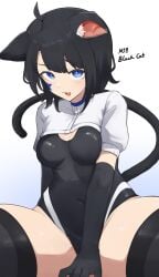 blackcat (daebom) from war thunder by daebom