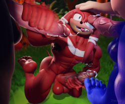 knuckles the echidna from sega by zhecklar