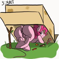 <3_eyes 1:1 1girls animated anus ass ass_up bedroom_eyes big_butt box butt candy candy_cane chocolate equid equine female feral food frame_by_frame friendship_is_magic genitals heart hi_res horse looking_back mammal my_little_pony narrowed_eyes pinkie_pie_(mlp) pony pussy seductive slimewiz text trap_(contrivance)