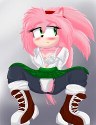 amy rose from sonic