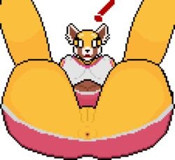 aggressive_retsuko ailurid anthro anus ass big_butt blush bottomwear bra breasts brown_body brown_fur clothed clothing digital_media_(artwork) dress female fur genitals legs_up looking_at_viewer mammal nipple_outline open_mouth orange_body orange_fur partially_clothed pixel_art presenting presenting_anus presenting_hindquarters presenting_pussy pussy red_panda retsuko sanrio skirt smooth_skin solo someguyoftheweb sports_bra surprise tan_body tan_fur thick_thighs thigh_gap transparent_background underwear upskirt white_eyes wide_eyed