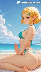 princess zelda from nintendo by tsukoneko