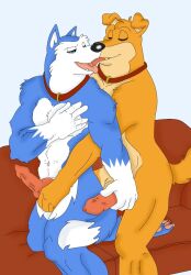 anthro canine domestic_dog erection flat fur kneeling penis road_rovers tail
