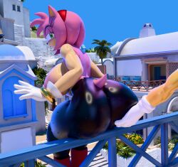 amy rose from sonic (series) by sassyrdos