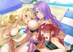 Camilla (Fire Emblem) Rule 34 Image