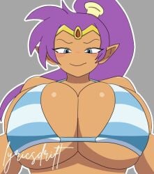 shantae (character) from shantae